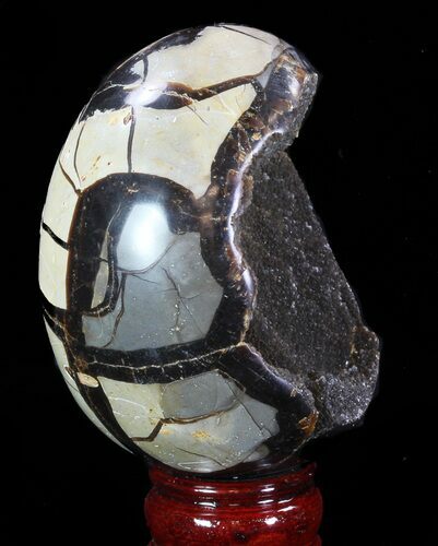 Septarian Dragon Egg Geode - Brown Crystals #88516